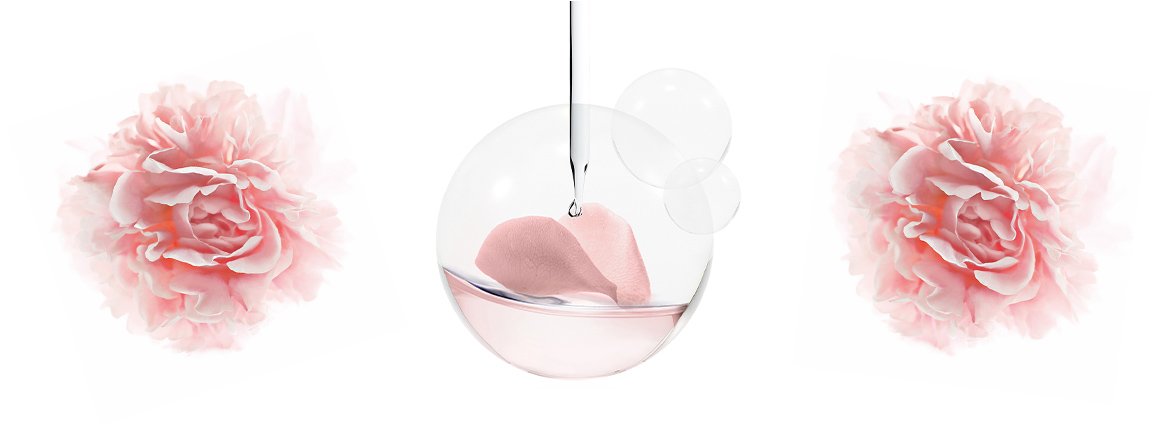 Pfingstrosenblüten und rosafarbene Flüssigkeit in Petrischale